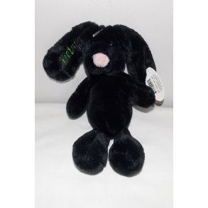 Mini Jessie med navn.