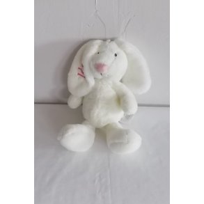 Hvid mini Jessie med navn.